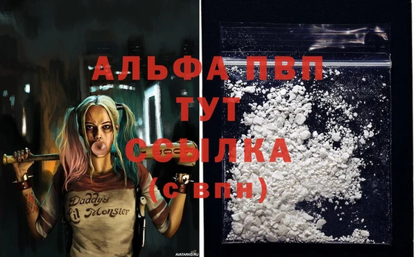 apvp Белокуриха