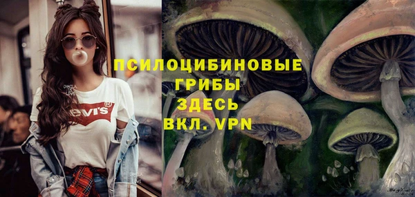 apvp Белокуриха