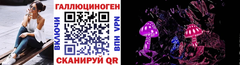 Галлюциногенные грибы Psilocybe Окуловка